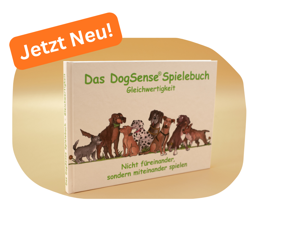 Jetzt Neu!