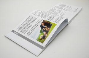Das DogSense® Spielebuch Set – weil Spielen verbindet – Bild 2